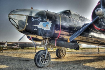 Sweer Miss Lilian by Robert Kaler art print