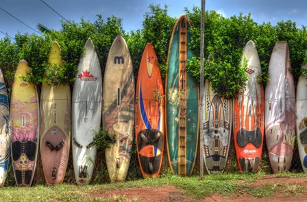 Surf Boards by Robert Kaler art print