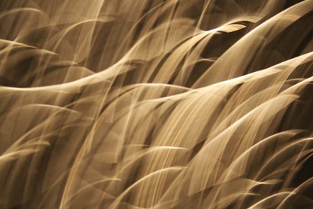 Poesia En Monocromo 7 by Stessi art print