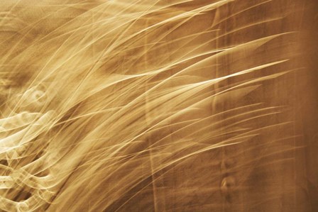 Poesia En Monocromo 8 by Stessi art print