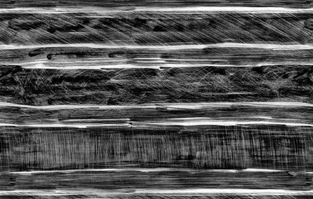 White Lines by Stessi art print