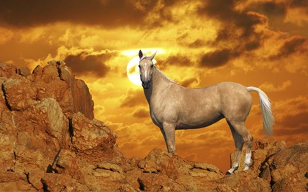 Golden by Bob Langrish art print