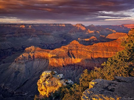 Canyon View X by David Drost art print