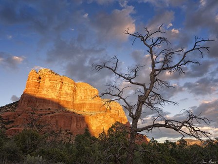 Sunset in the Desert II by David Drost art print