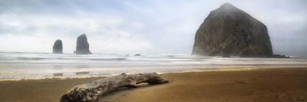 From Cannon Beach II by David Drost art print
