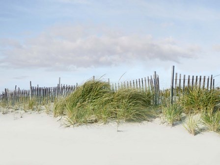 Beachscape IV by James McLoughlin art print