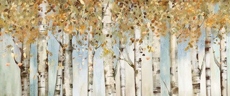 Birch Country by Allison Pearce art print