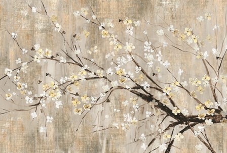Silver Apple Blooms by Asia Jensen art print