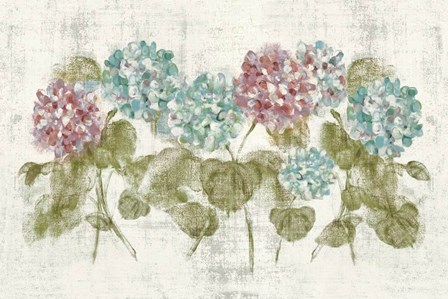 Vibrant Row of Hydrangea No Border by Cheri Blum art print