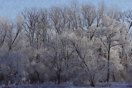 Ice Land by Denise Romita art print