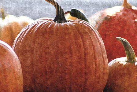 Fall Pumpkin by Denise Romita art print