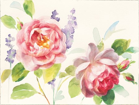 Watercolor Roses by Danhui Nai art print