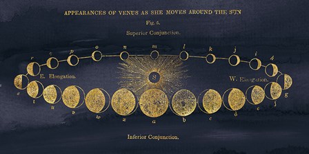 Geography of the Heavens II Blue Gold by Wild Apple Portfolio art print