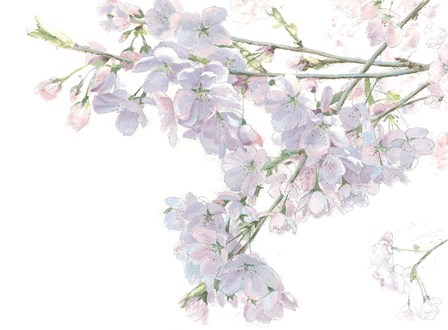 Beautiful Spring by James Wiens art print
