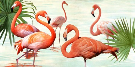 Flamingos by Teo Rizzardi art print