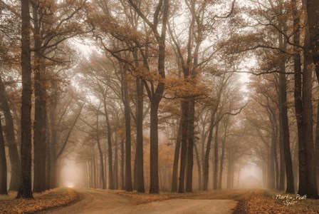 Split by Martin Podt art print