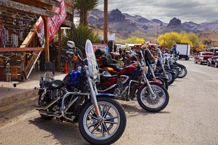 Rt 66 Fun Run Oatman Motorcycles by Mike Jones Photo art print