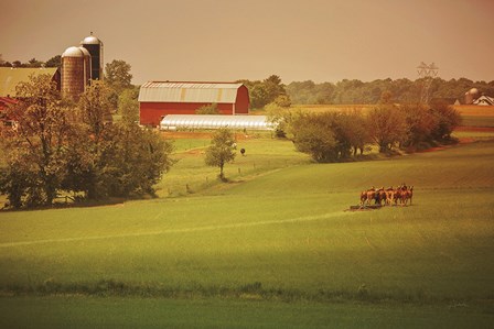 Fall Farm by Aledanda art print