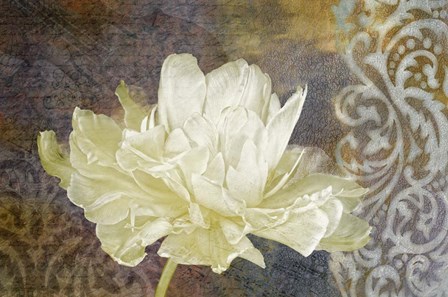 Classic Double White Tulip I by Cora Niele art print