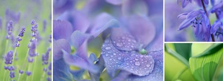 The Blue Garden by Cora Niele art print