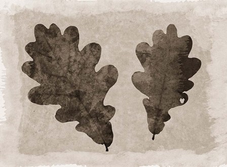 Sepia Oak Leaves by Cora Niele art print