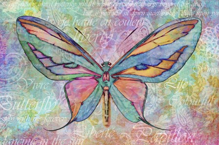 Colorful Butterfly by Cora Niele art print