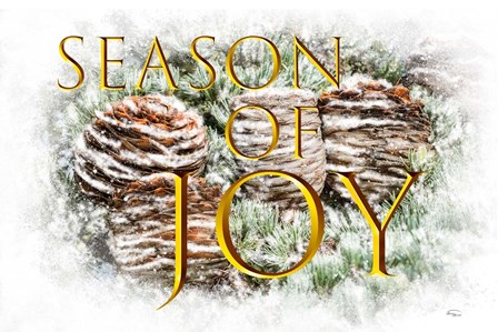 Season of Joy by Ramona Murdock art print