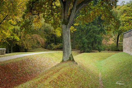 Outside the Wall II by Ramona Murdock art print