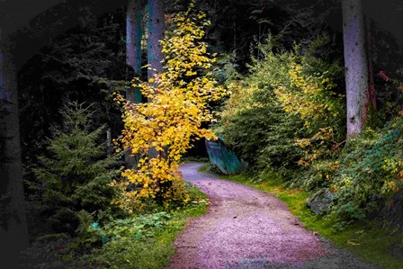 Black Forest Path II by Ramona Murdock art print