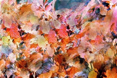 Fall&#39;s Folly by Lu Anne Tyrrell art print