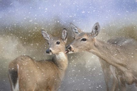 A Mothers Love by Jai Johnson art print