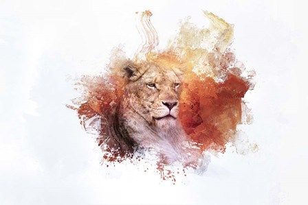 Expressions Lion 2 by Jai Johnson art print