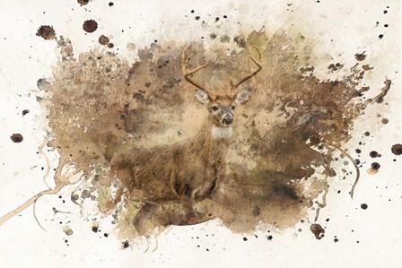 Looking For Her by Jai Johnson art print