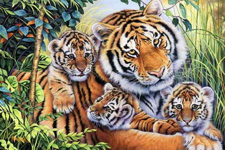 Lily&#39;s Pride by Jenny Newland art print