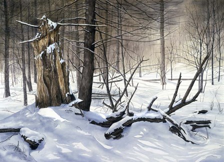 Symphony of Life by John Morrow art print