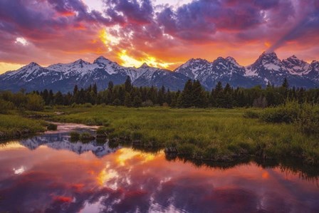 Black Ponds Sunset 1 by Darren White Photography art print