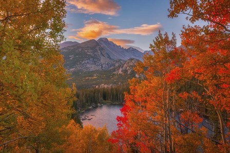 Autumn's Breath by Darren White Photography art print