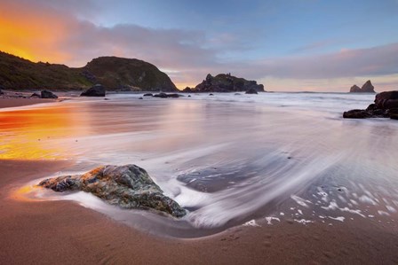 Citrus Sunrise by Darren White Photography art print