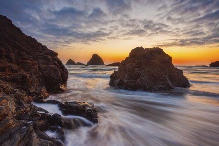 Oregon Gold Rush by Darren White Photography art print