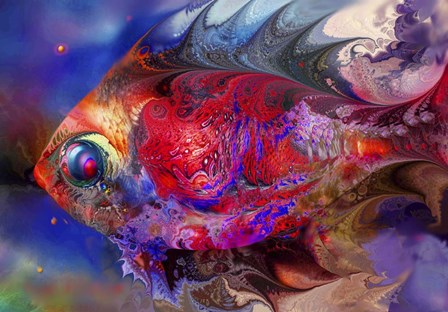 Beautiful Red Fish by RUNA art print