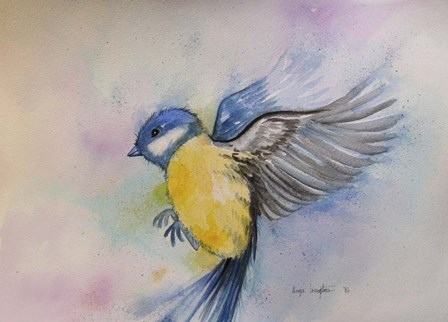 Bluebird by Angie Livingstone art print