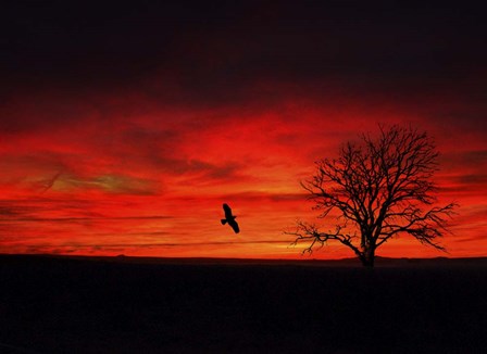 Lone Tree And A Bird by Ata Alishahi art print