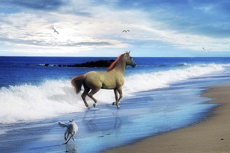 Wait For Me by Ata Alishahi art print