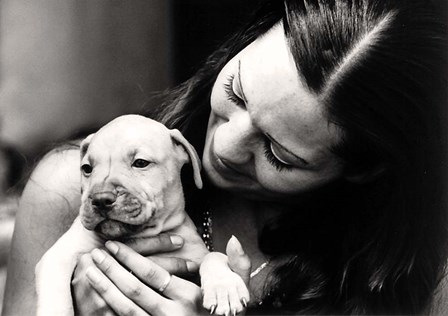 My Poppy by Ata Alishahi art print