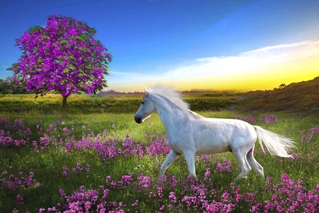 Purple Land by Ata Alishahi art print