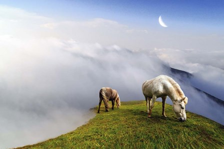 Mountain Horses by Ata Alishahi art print