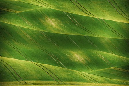 Greenland by Ata Alishahi art print