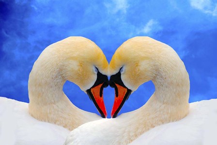 Soul mate by Ata Alishahi art print