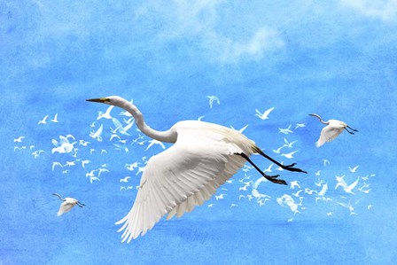White Birds And Blue Sky by Ata Alishahi art print