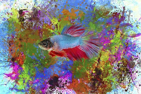 Fish Art 5 by Ata Alishahi art print